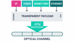 Illustration Zoom sur l’OTU