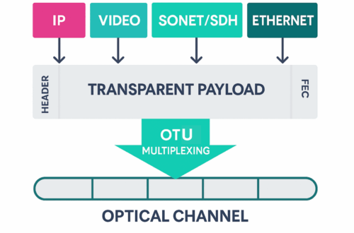 Article : Zoom sur l’OTU